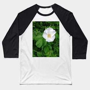 White wild rose Baseball T-Shirt